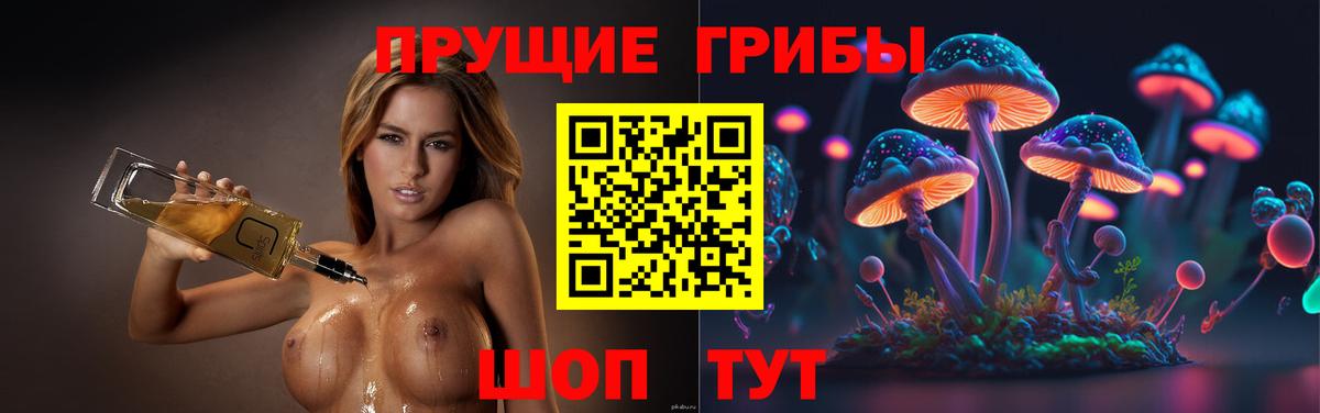 Волоколамск  Галлюциногенные грибы мухоморы  Псилоцибиновые грибы GOLDEN TEACHER  Вход с VPN 